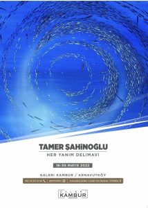 Tamer Şahinoğlu